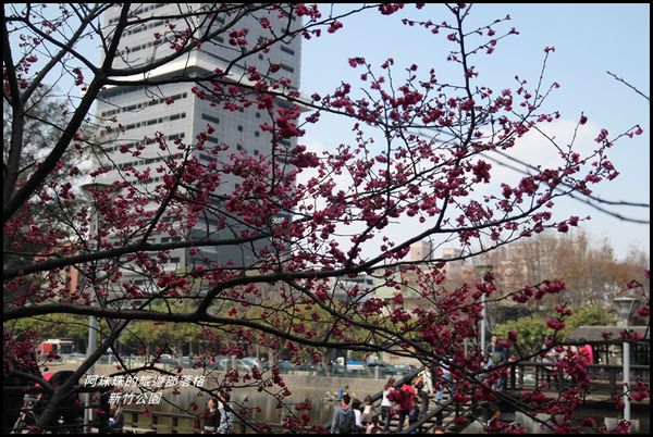 新竹公園19.JPG