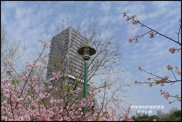 新竹公園46.JPG
