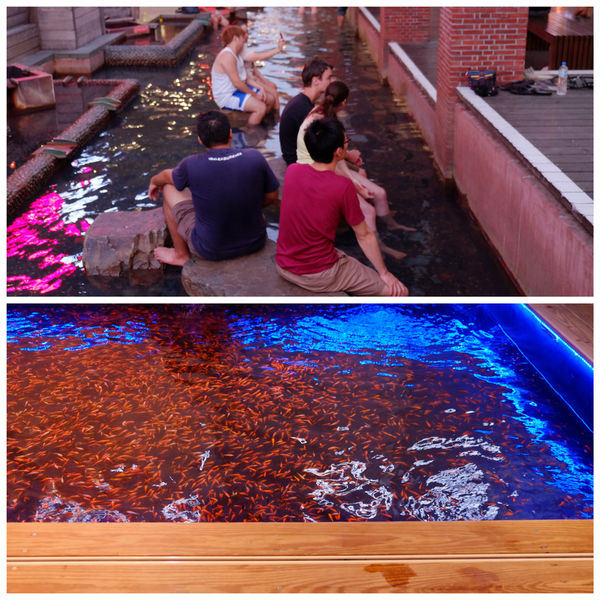 DSCF1797_Fotor_Collage