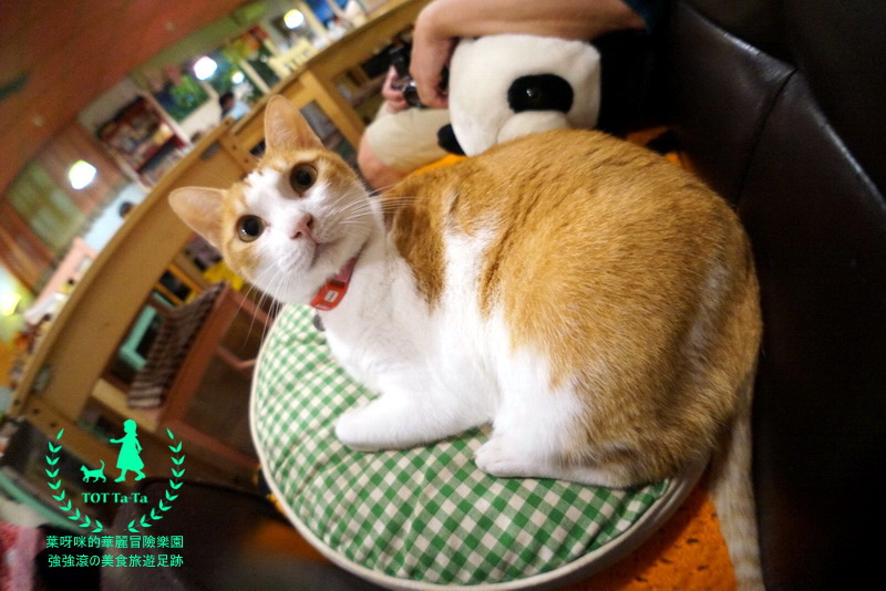 TOT ta-ta 小孩散步_8815.jpg