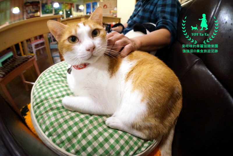 TOT ta-ta 小孩散步_267.jpg