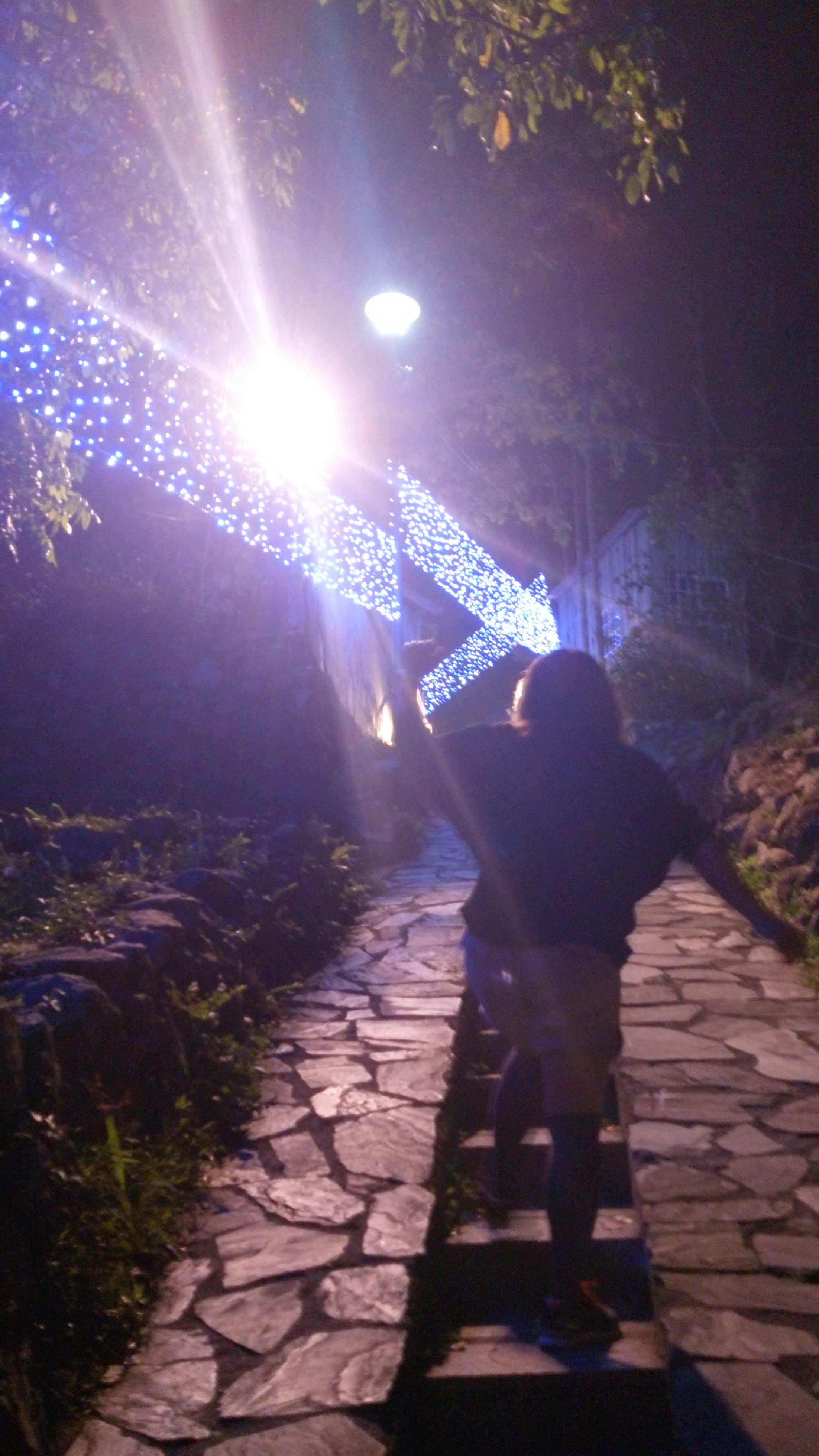 夜晚燈泡裝飾頗有氣氛...