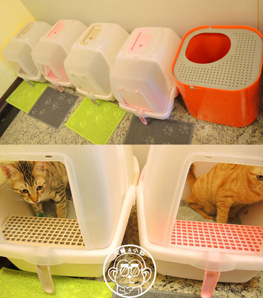 野喵中途咖啡:呷飽祙【新北三重・野喵中途咖啡】喵星人左擁右抱用餐