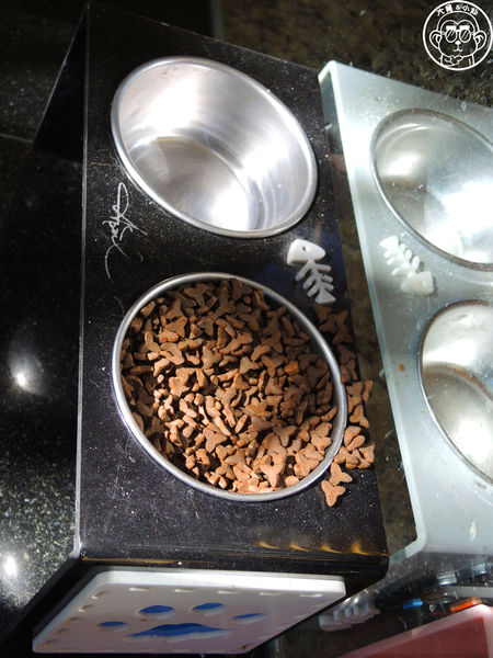 野喵中途咖啡:呷飽祙【新北三重・野喵中途咖啡】喵星人左擁右抱用餐