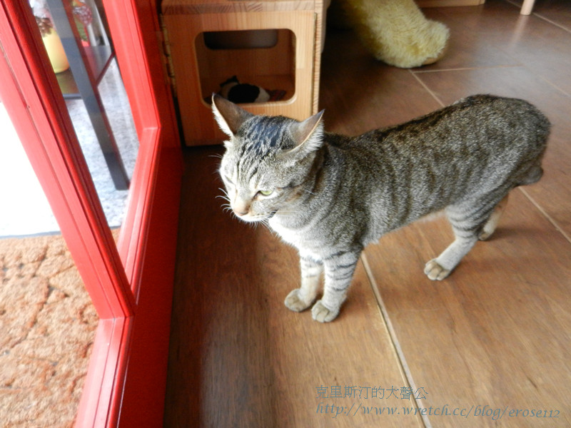 貓旅行 045_副本