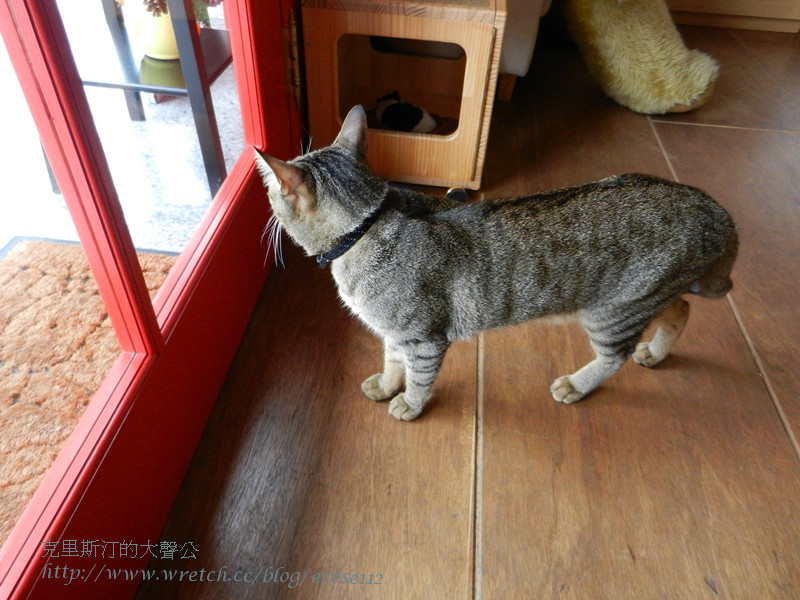 貓旅行 044_副本