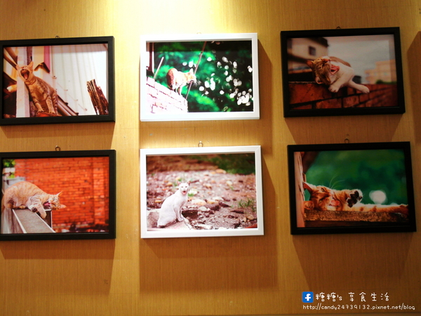 貓旅行咖啡輕食館：〖台中│美食〗貓旅行咖啡輕食館 ❤ 超萌立體貓咪拉花、貓掌湯圓登場!!店內還有可愛的喵星人坐陪呷崩唷~