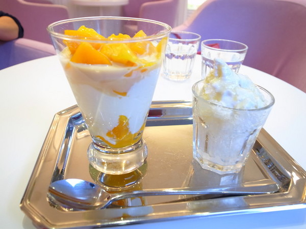 天糖時尚燉奶甜品：＜台北｜晴光市場｜燉奶＞貴婦專屬～燕窩燉奶