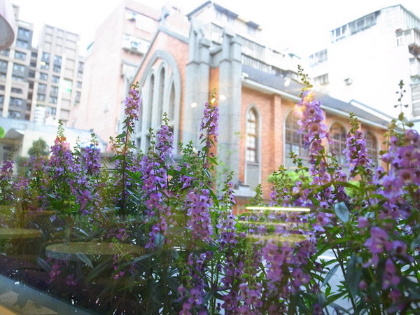 天糖時尚燉奶甜品：＜台北｜晴光市場｜燉奶＞貴婦專屬～燕窩燉奶