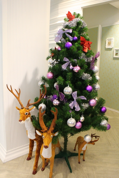 天糖時尚燉奶甜品:燕窩.女孩們的最愛『天糖時尚燉奶甜品』晴光商圈/中山北路