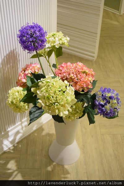 天糖時尚燉奶甜品：♥天糖時尚燉奶甜品--養顏午茶時光