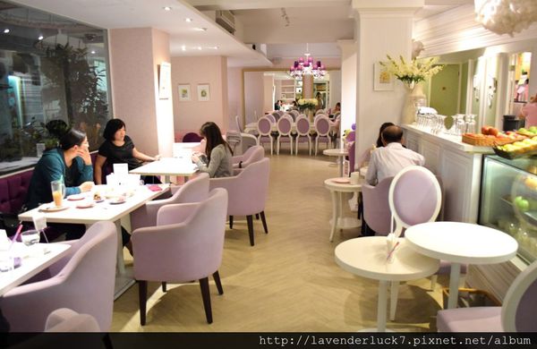 天糖時尚燉奶甜品：♥天糖時尚燉奶甜品--養顏午茶時光