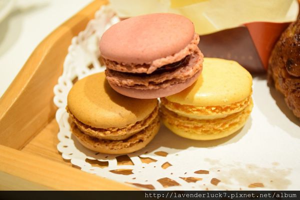 天糖時尚燉奶甜品：♥天糖時尚燉奶甜品--養顏午茶時光