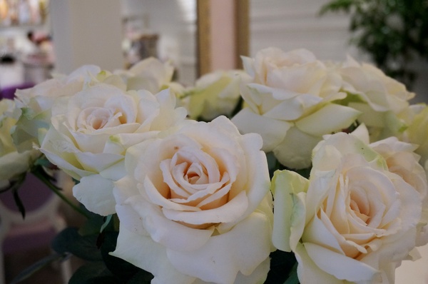 天糖時尚燉奶甜品：[中山國小]天糖時尚燉奶甜品：中西創意精緻燉奶/三明治/鬆餅/飲品