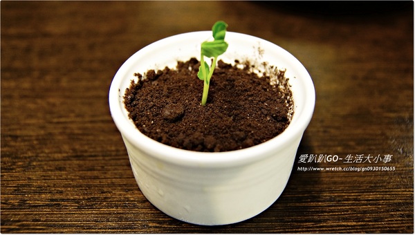 九寨十鍋正宗四川麻辣:【食記/台北市】正宗四川麻辣~九寨十鍋