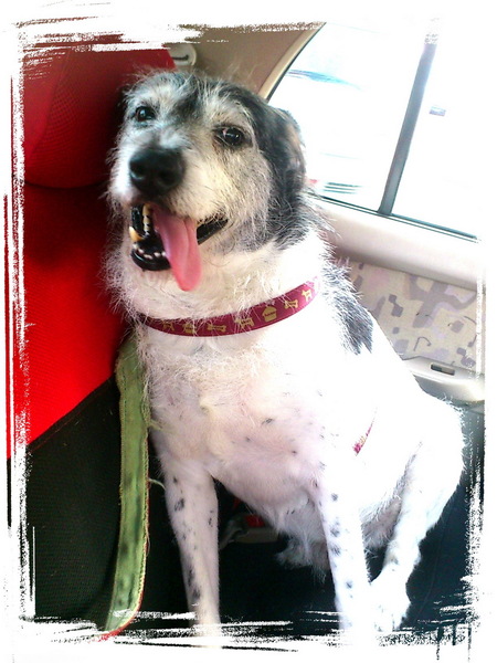 法娃濃湯：【台中勤美】傳說中充滿父愛的濃湯！連年代新聞都來採訪！