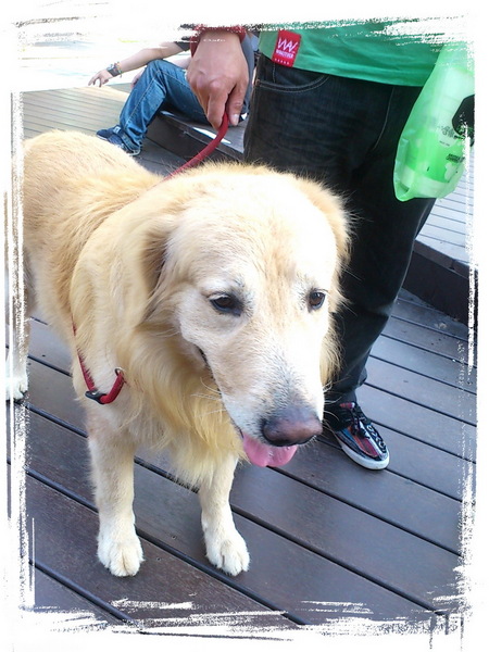 法娃濃湯：【台中勤美】傳說中充滿父愛的濃湯！連年代新聞都來採訪！