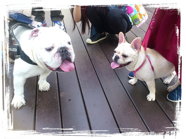 法娃濃湯：【台中勤美】傳說中充滿父愛的濃湯！連年代新聞都來採訪！