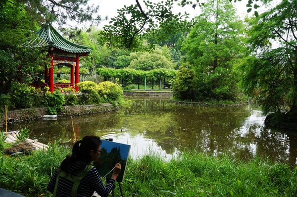 台北植物園(Taipei Botanic Garden)：台北植物園 - 4月初春賞早荷. 浮萍之美