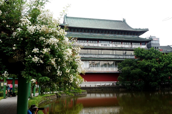 台北植物園(Taipei Botanic Garden):春遊植物園 - 4月裡有什麼花~