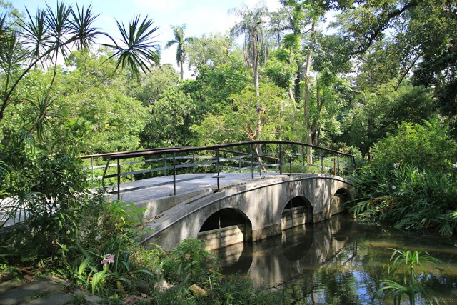 台北植物園-13