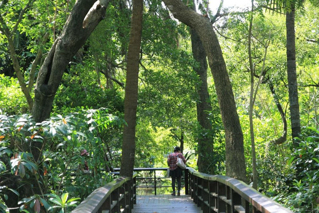 台北植物園-24