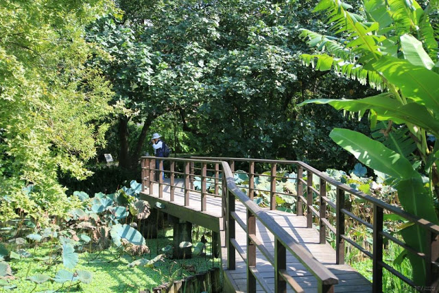 台北植物園-20