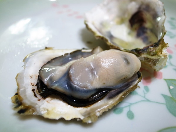 澎湖郭家賜福牡蠣：<宅配> 絕對新鮮帶殼牡蠣～澎湖郭家賜福