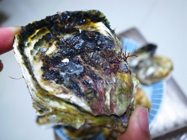 澎湖郭家賜福牡蠣：<宅配> 絕對新鮮帶殼牡蠣～澎湖郭家賜福