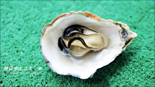 澎湖郭家賜福牡蠣：【宅配】顆顆飽滿～顆顆鮮美♪♪ 澎湖郭家賜福牡蠣♪♪