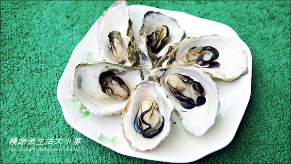 澎湖郭家賜福牡蠣：【宅配】顆顆飽滿～顆顆鮮美♪♪ 澎湖郭家賜福牡蠣♪♪