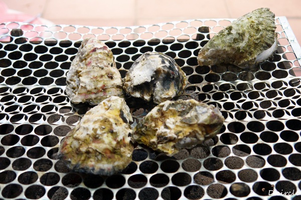 澎湖郭家賜福牡蠣:體驗●郭家賜福-澎湖伴手禮~過鹹水來的新鮮肥美澎湖牡蠣~!!中秋烤肉的加分食材!!