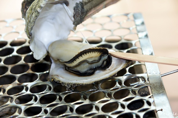 澎湖郭家賜福牡蠣:體驗●郭家賜福-澎湖伴手禮~過鹹水來的新鮮肥美澎湖牡蠣~!!中秋烤肉的加分食材!!