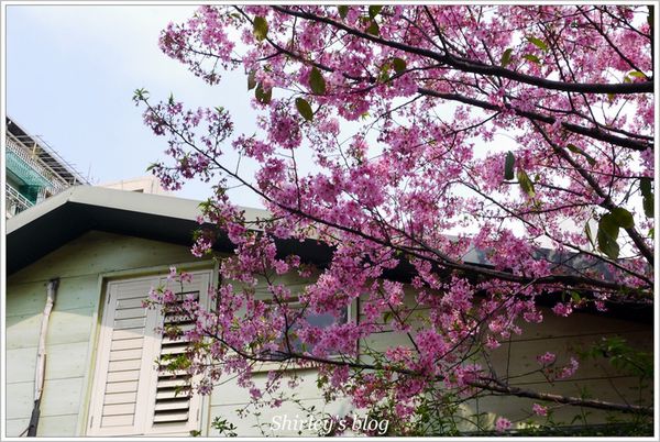 好窩咖啡：台北‧好窩咖啡