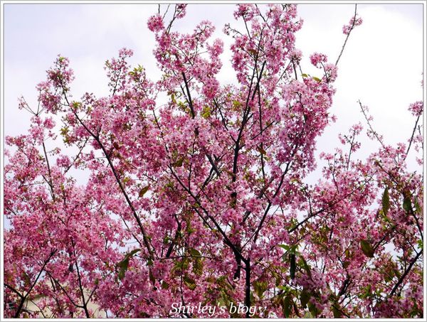 好窩咖啡：台北‧好窩咖啡