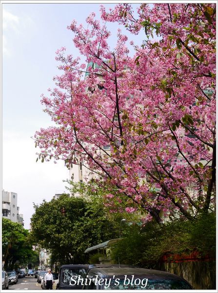 好窩咖啡：台北‧好窩咖啡