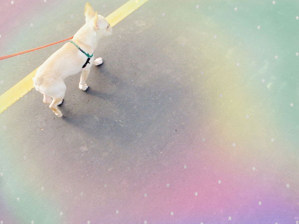 清新溫泉飯店:【台中】烏日區〝 清新溫泉飯店〞