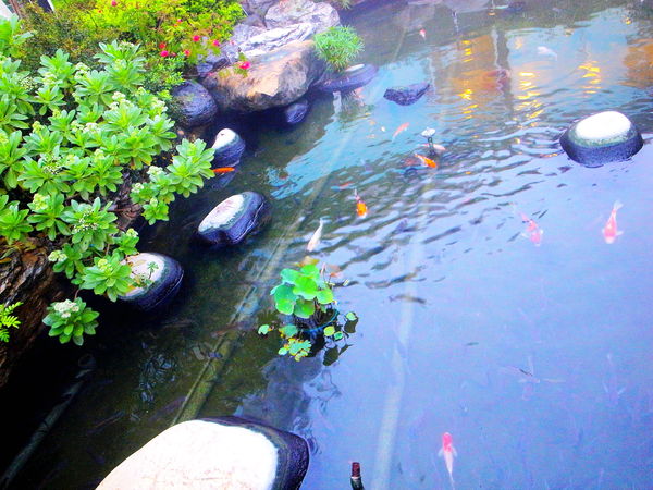 清新溫泉飯店:【台中】烏日區〝 清新溫泉飯店〞