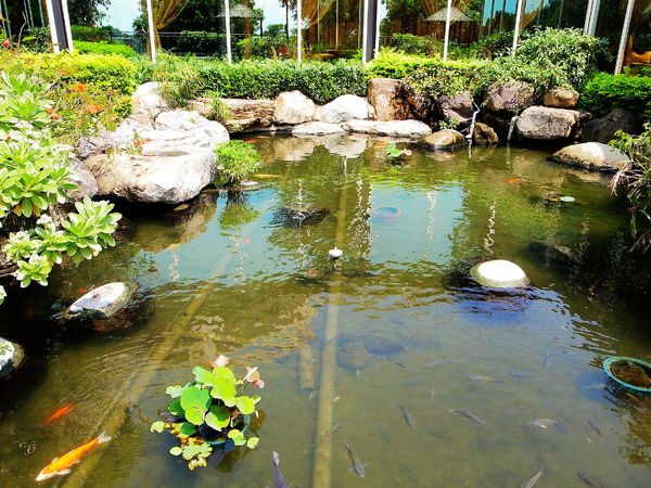 清新溫泉飯店:【台中】烏日區〝 清新溫泉飯店〞