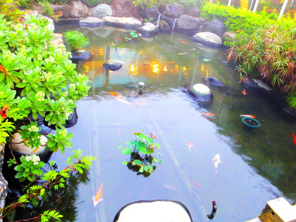 清新溫泉飯店:【台中】烏日區〝 清新溫泉飯店〞