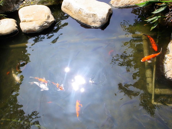 清新溫泉飯店:【台中】烏日區〝 清新溫泉飯店〞