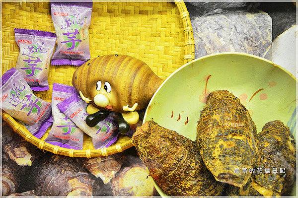 花蓮七星柴魚博物館：【花蓮】新城鄉。七星柴魚博物館