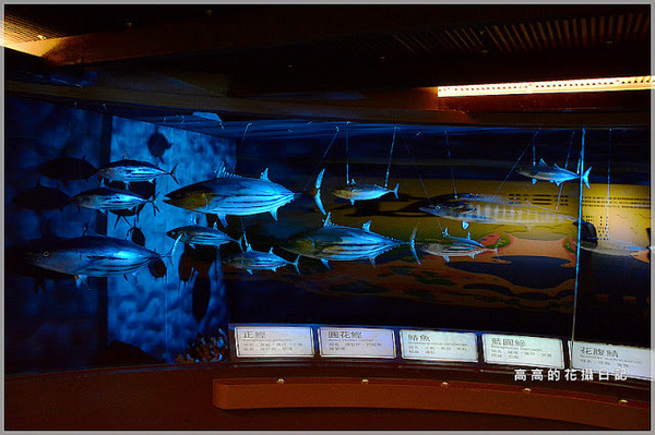 花蓮七星柴魚博物館：【花蓮】新城鄉。七星柴魚博物館