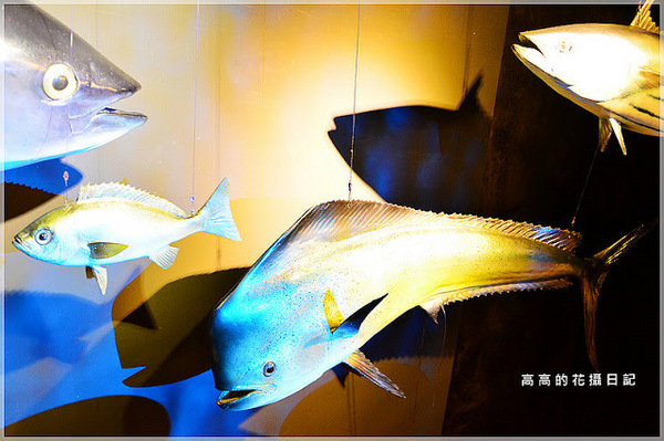 花蓮七星柴魚博物館：【花蓮】新城鄉。七星柴魚博物館