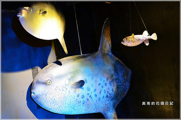 花蓮七星柴魚博物館：【花蓮】新城鄉。七星柴魚博物館