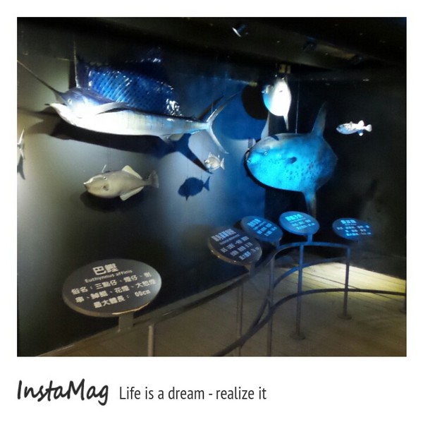 七星柴魚博物館：七星柴魚博物館