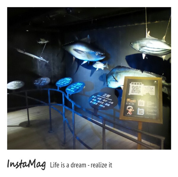 七星柴魚博物館：七星柴魚博物館