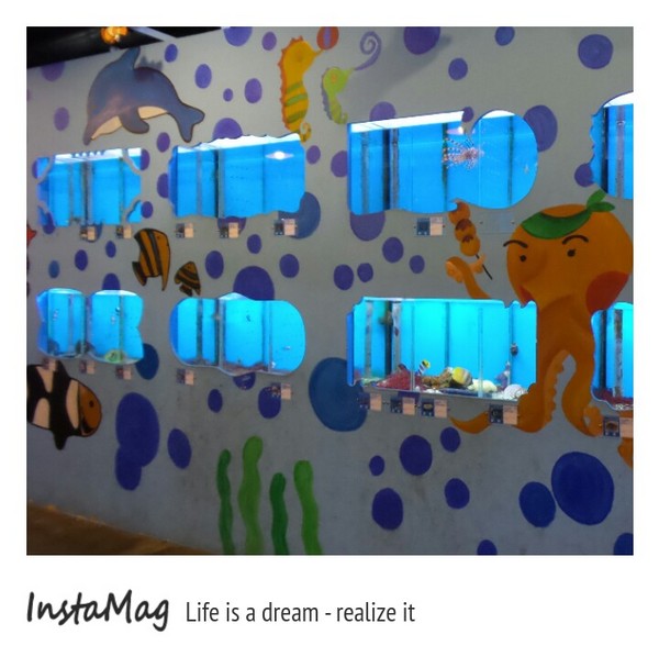 七星柴魚博物館：七星柴魚博物館