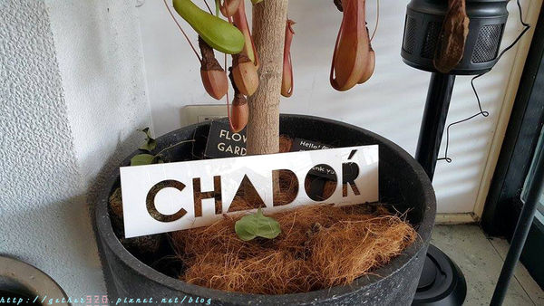 12041683_1022790741075618_1845956176_n拷貝