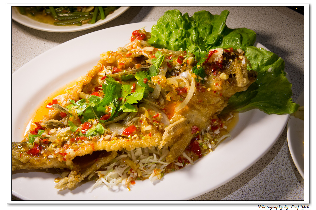 葉影瓶像版權所有